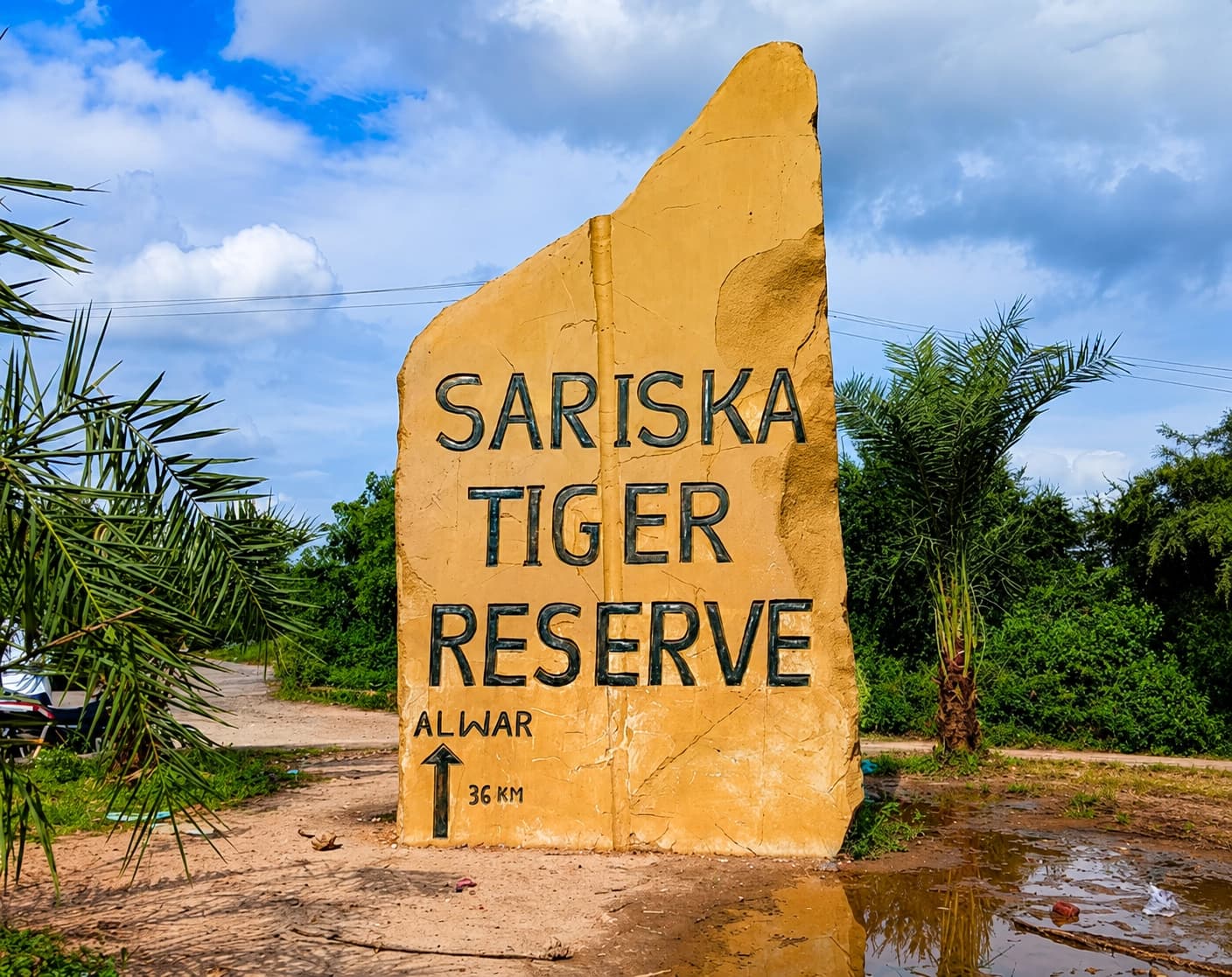 Sariska Tiger Reserve – A Jewel of Rajasthan's Wilderness